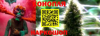 соль ск Новодвинск