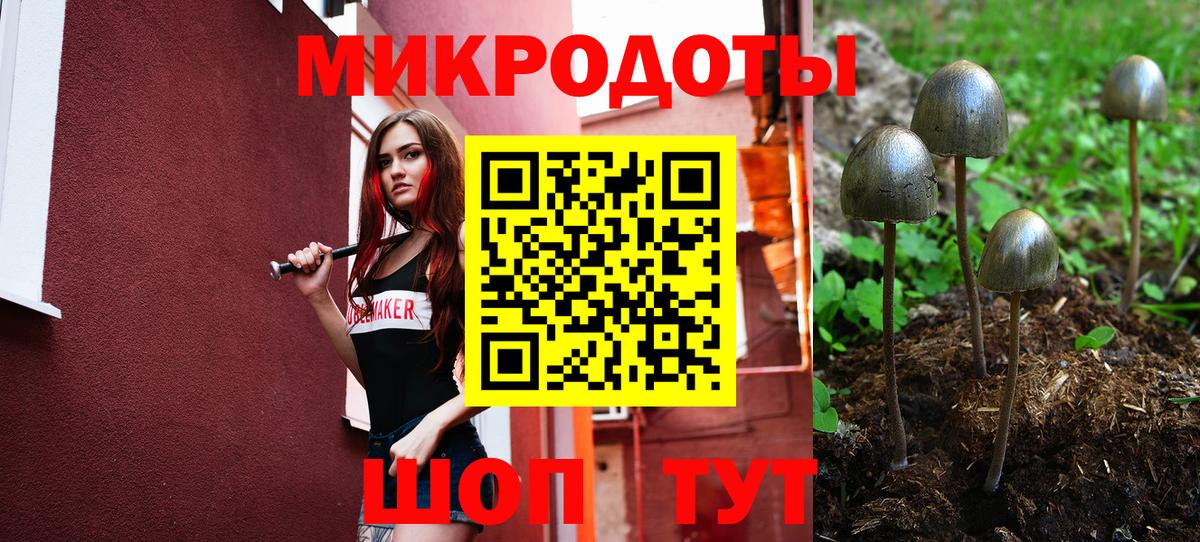 Галлюциногенные грибы ЛСД Серов