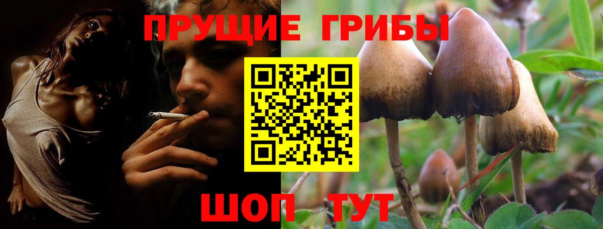 Галлюциногенные грибы GOLDEN TEACHER  Галлюциногенные грибы MAGIC MUSHROOMS  Вход с VPN  Серов 